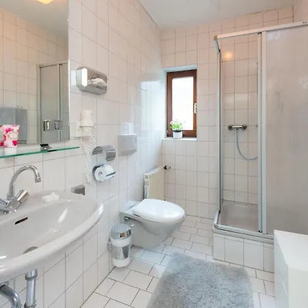 Large House In In The Sauerland Region