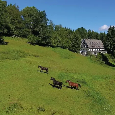 Large House In In The Sauerland Region Holiday home Winterberg