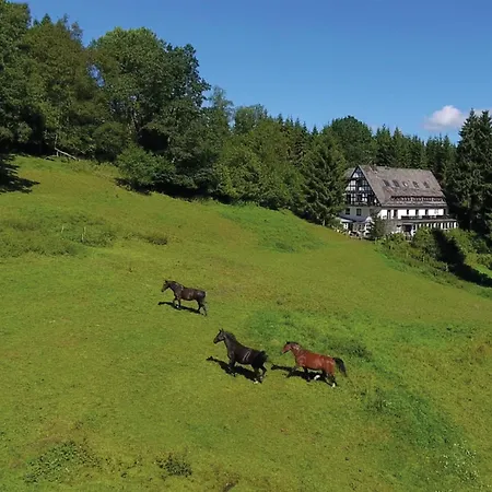 Large House In In The Sauerland Region Holiday home