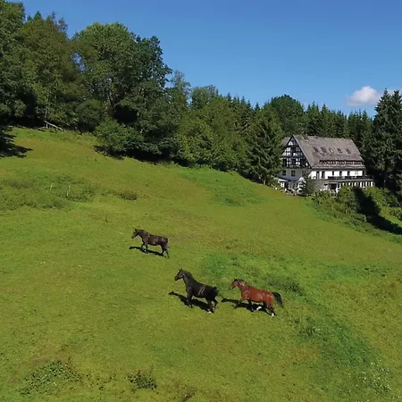 Large House In In The Sauerland Region 펜션 빈터베르크