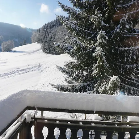 Large House In In The Sauerland Region Casa vacanze Winterberg